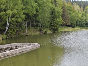 MVIMG_20250522_124352